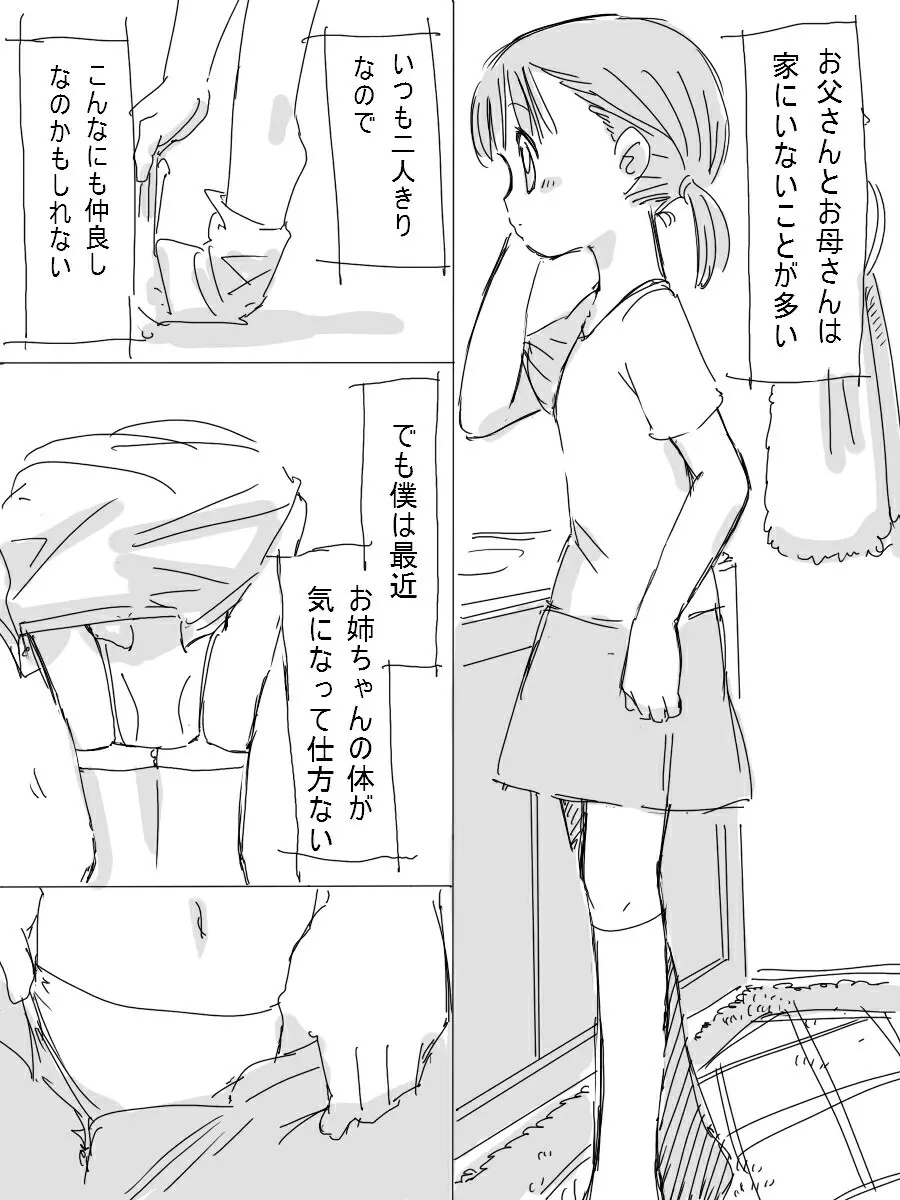 僕の優しいお姉ちゃん Page.3