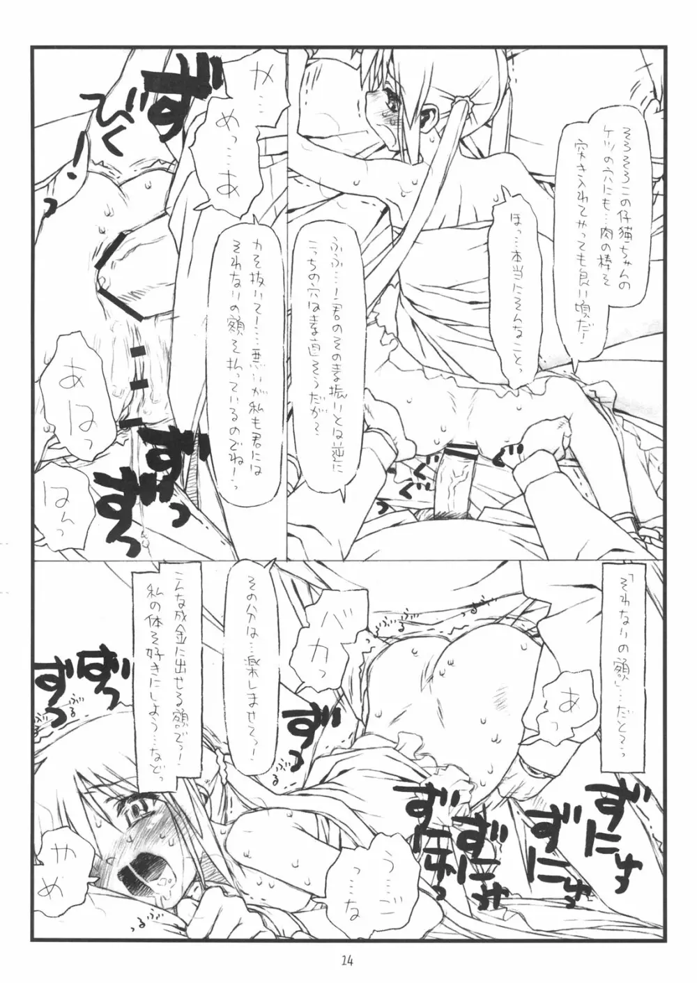 「殻の中の小鳥じゃなく檻の中の仔猫」 Page.13