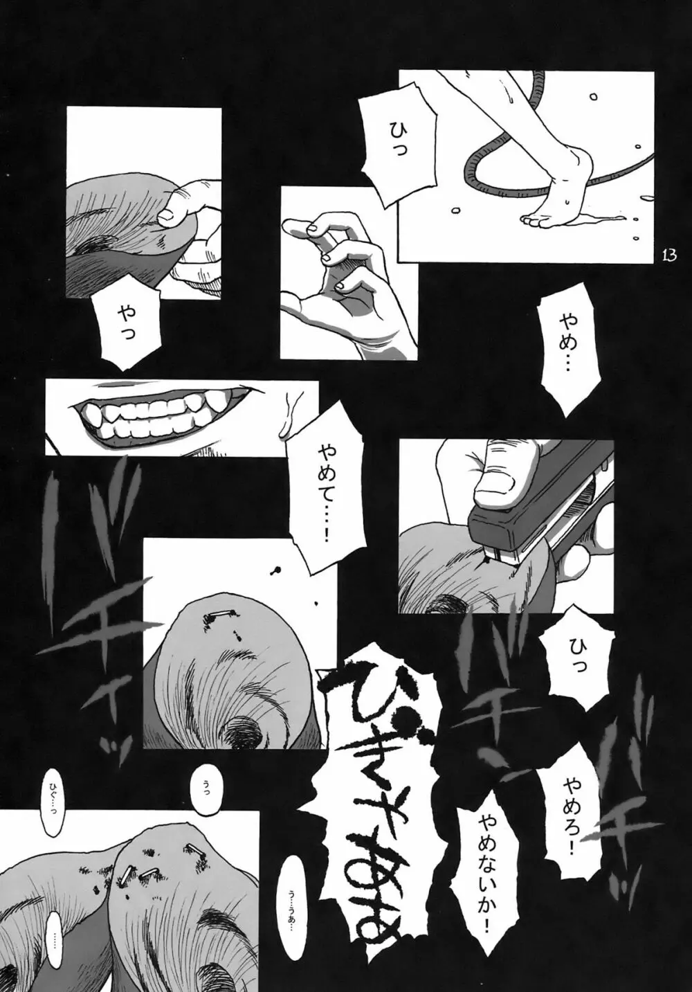 CHU-PET Page.13