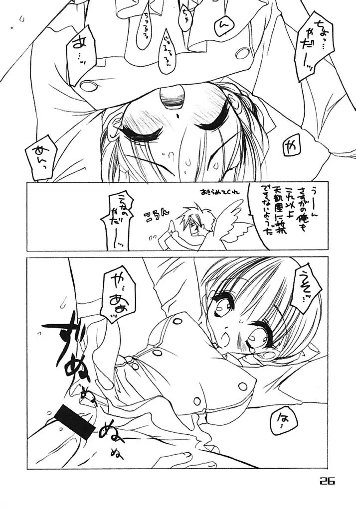 大紅袍 Page.26