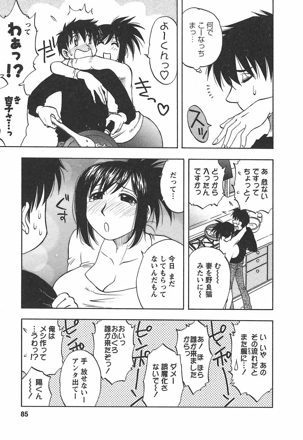 森乃さんちの婿事情 Page.91