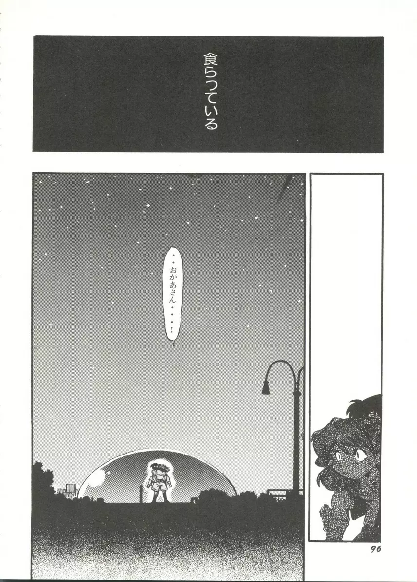 アニパロ美姫14 Page.100