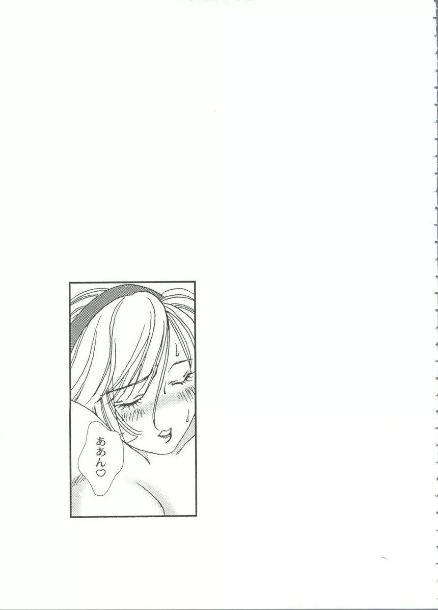 アニパロ美姫14 Page.25