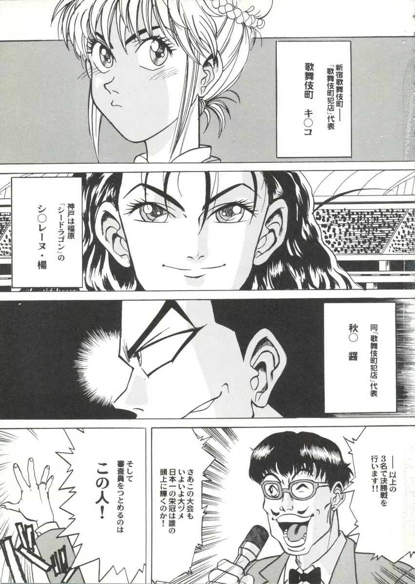 アニパロ美姫14 Page.43