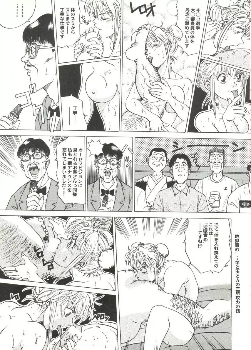 アニパロ美姫14 Page.53