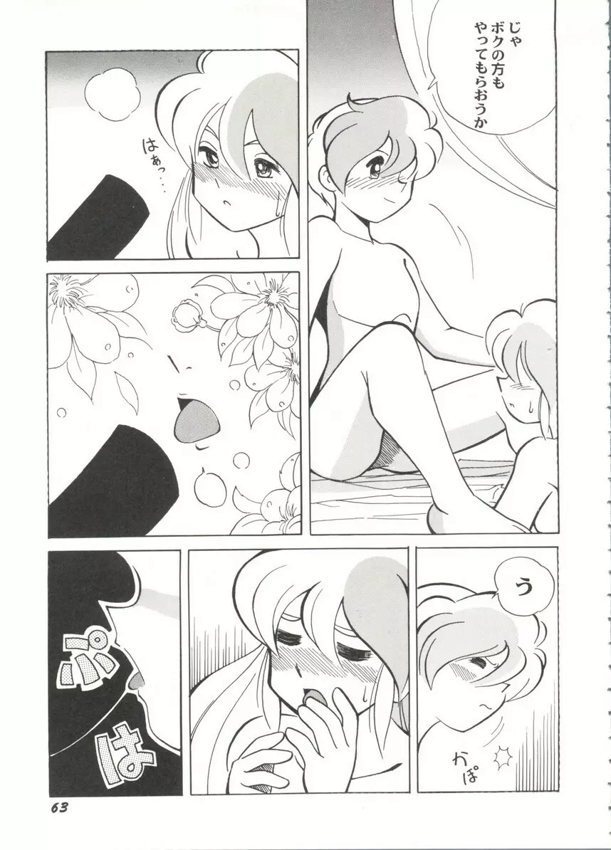 アニパロ美姫14 Page.67