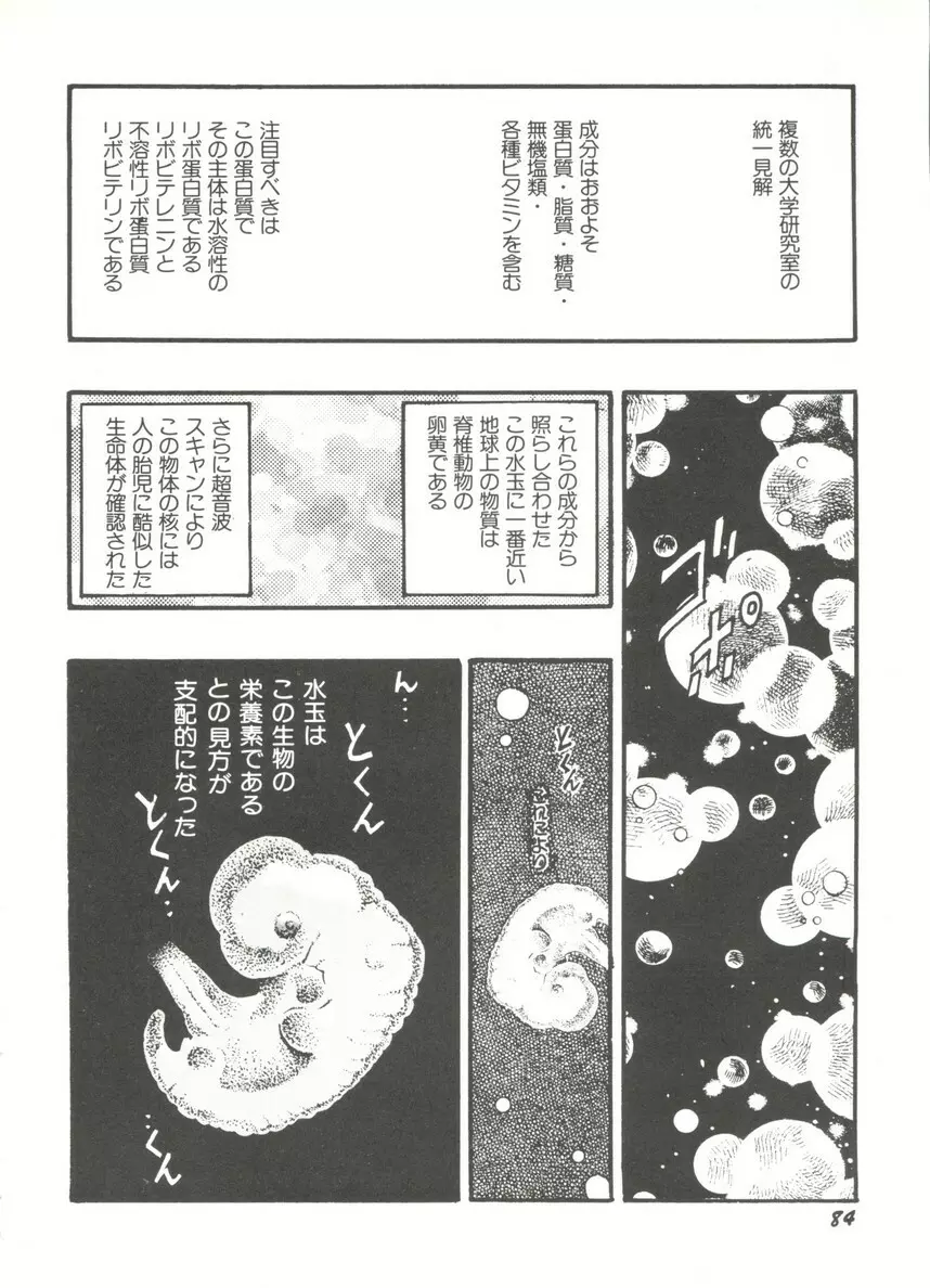 アニパロ美姫14 Page.88