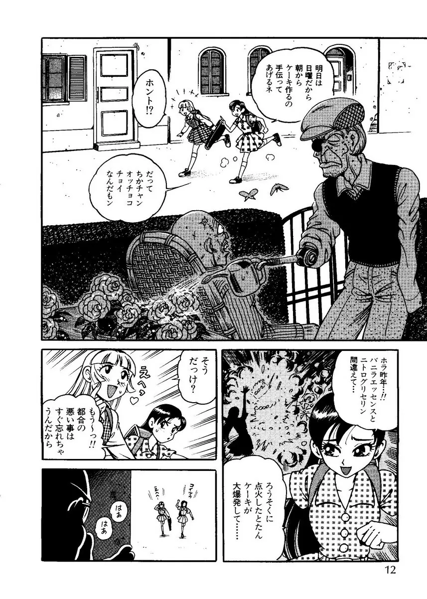 パイク 第二十一號 Page.13