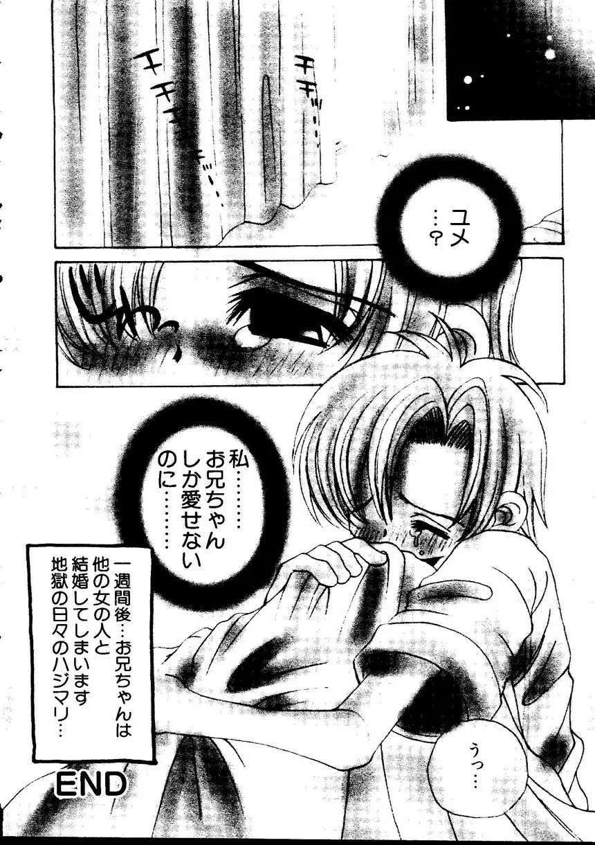 パイク 第二十一號 Page.209