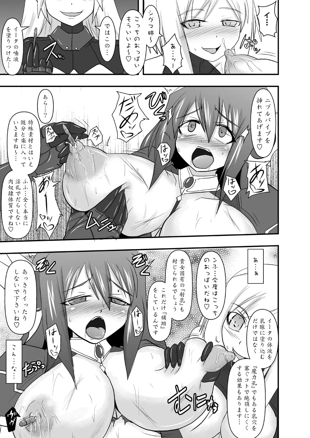 煌盾装騎エルセイン Vol.10 MALICIOUS SISTERS Page.22