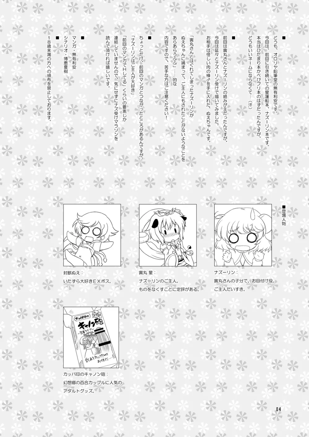 わたしのナズーリン2 Page.3