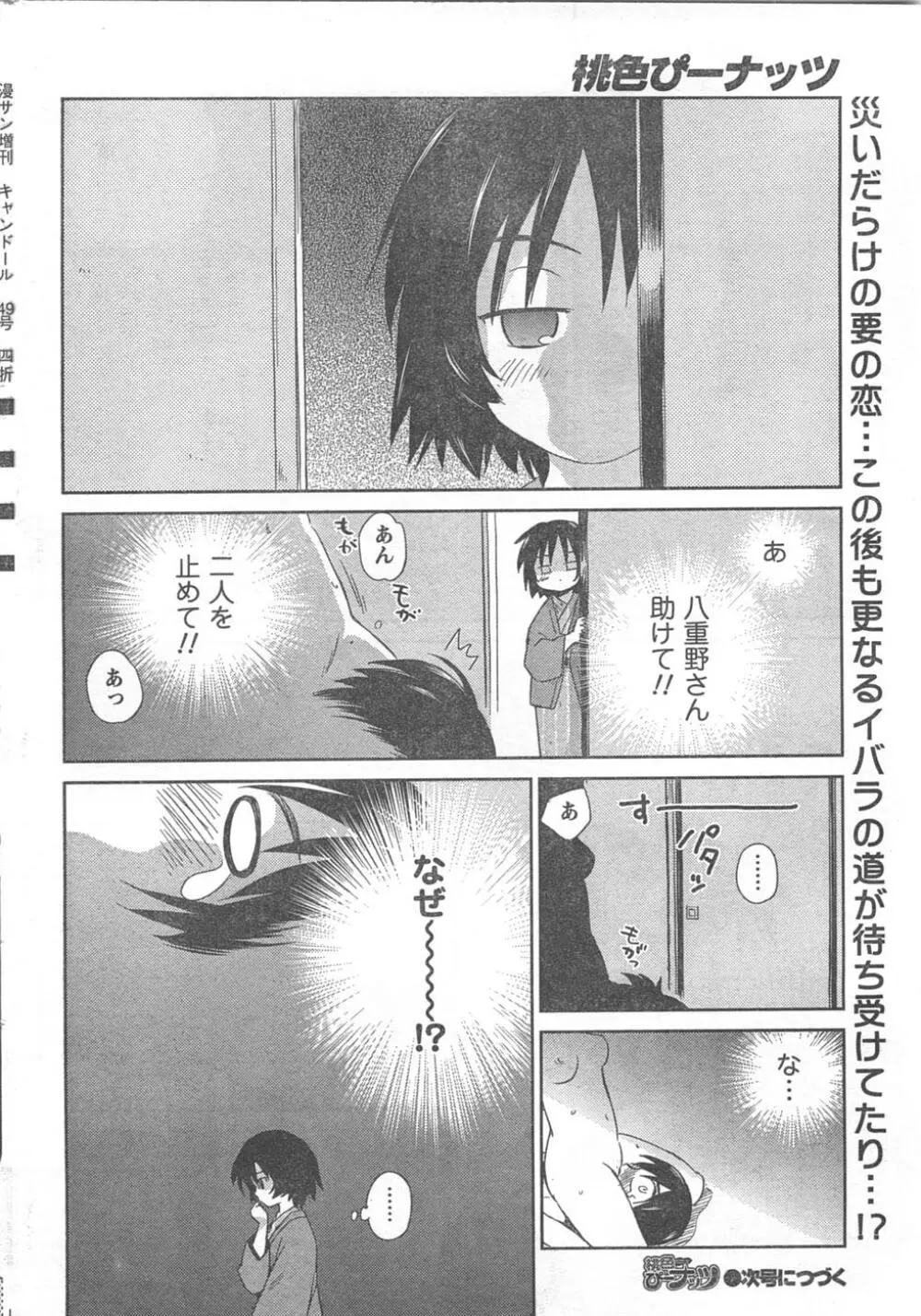 COMIC キャンドール 2008年2月号 Vol.49 Page.218