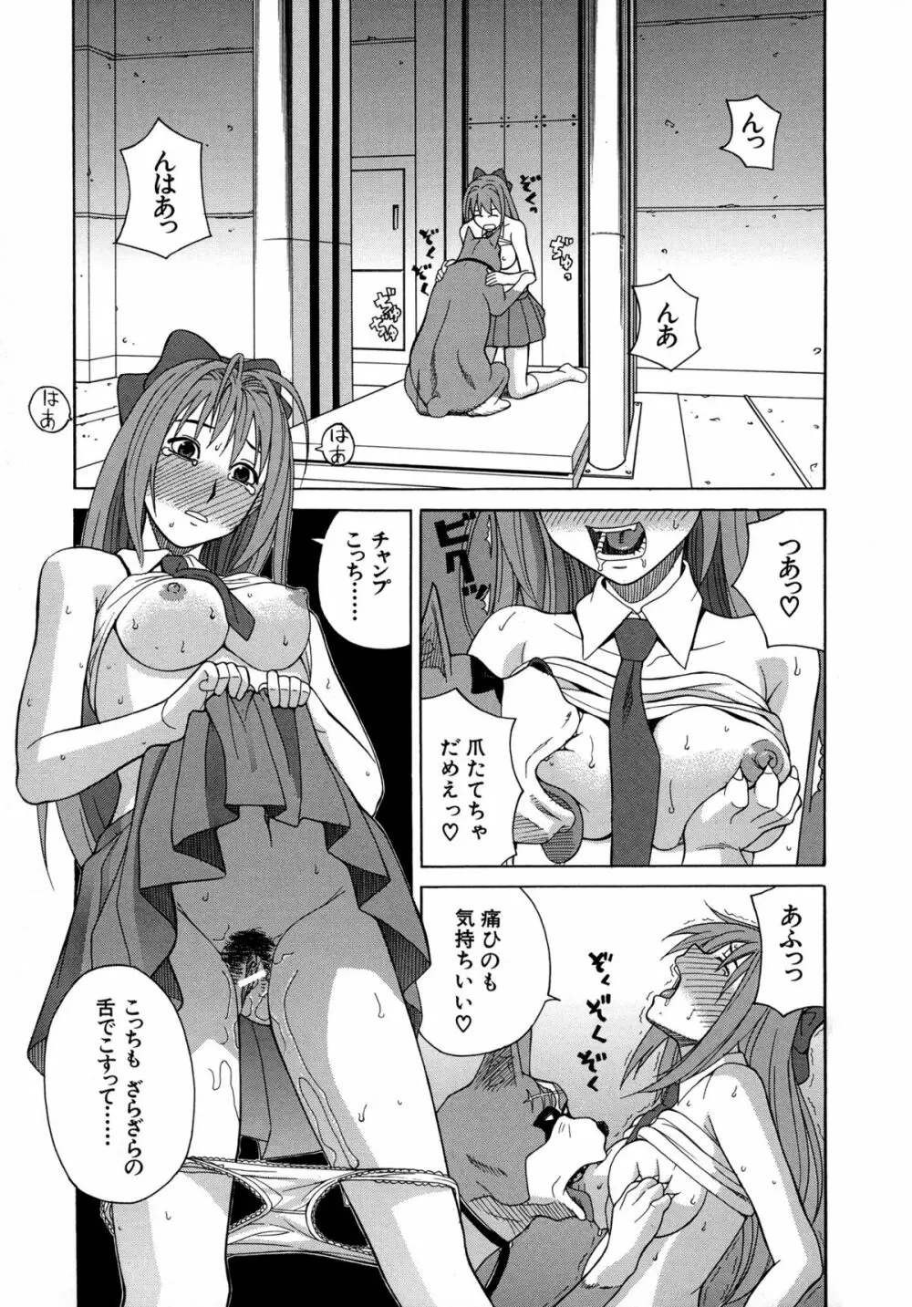 モテる犬の生きざま Page.64