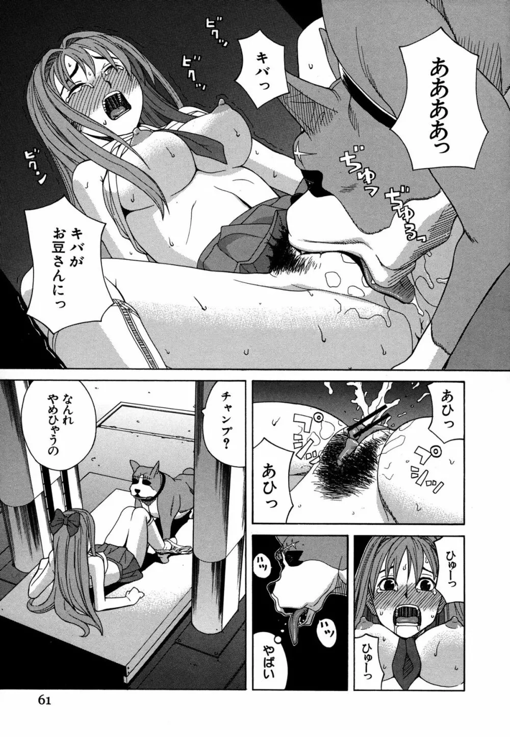 モテる犬の生きざま Page.66