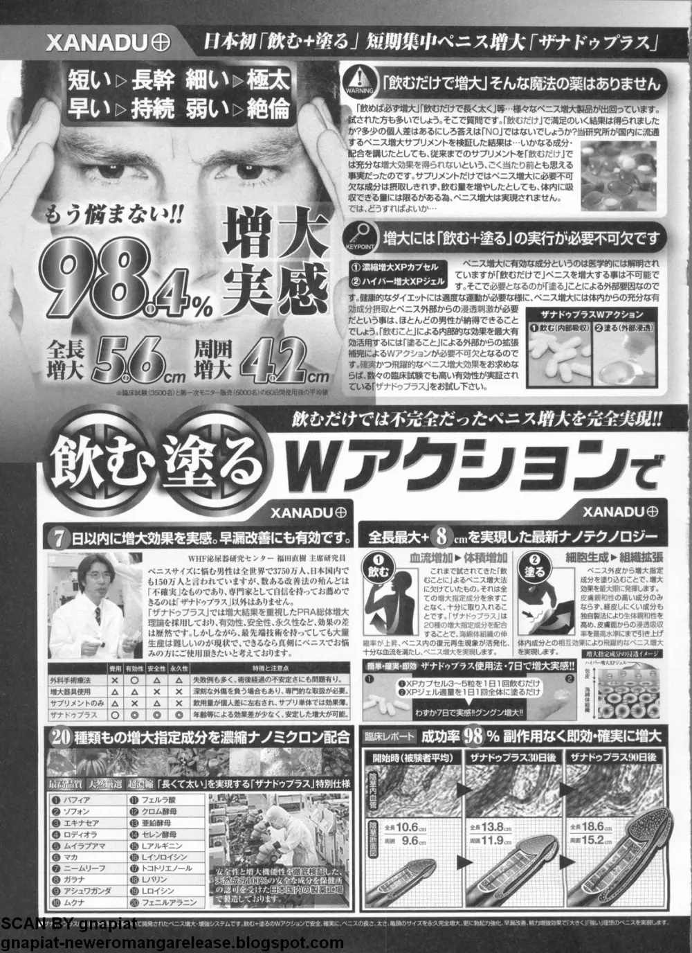 パソコンパラダイス 2009年5月号 Vol.204 Page.246