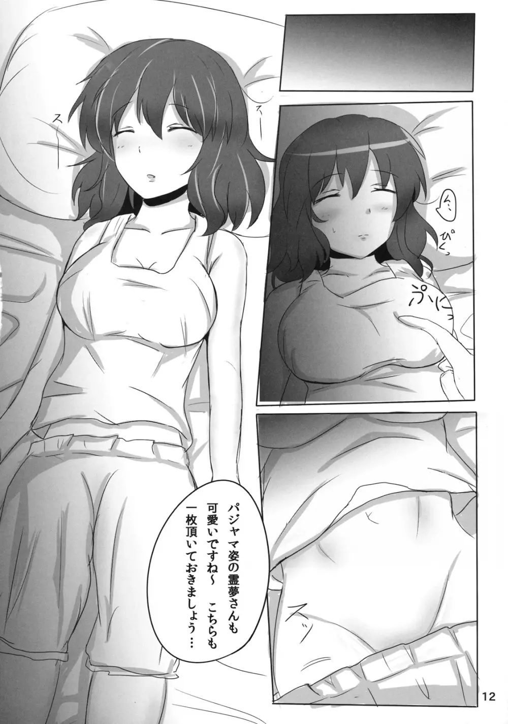 霊夢さん裏取材記録 Page.12