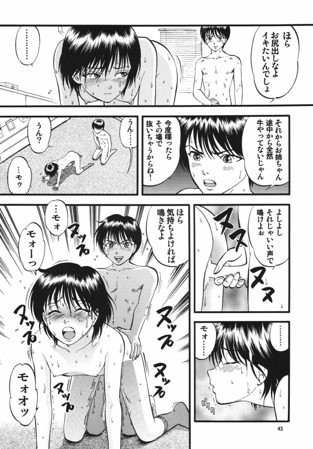 R姉弟 起 ～イルミとヒロキ～ Page.43