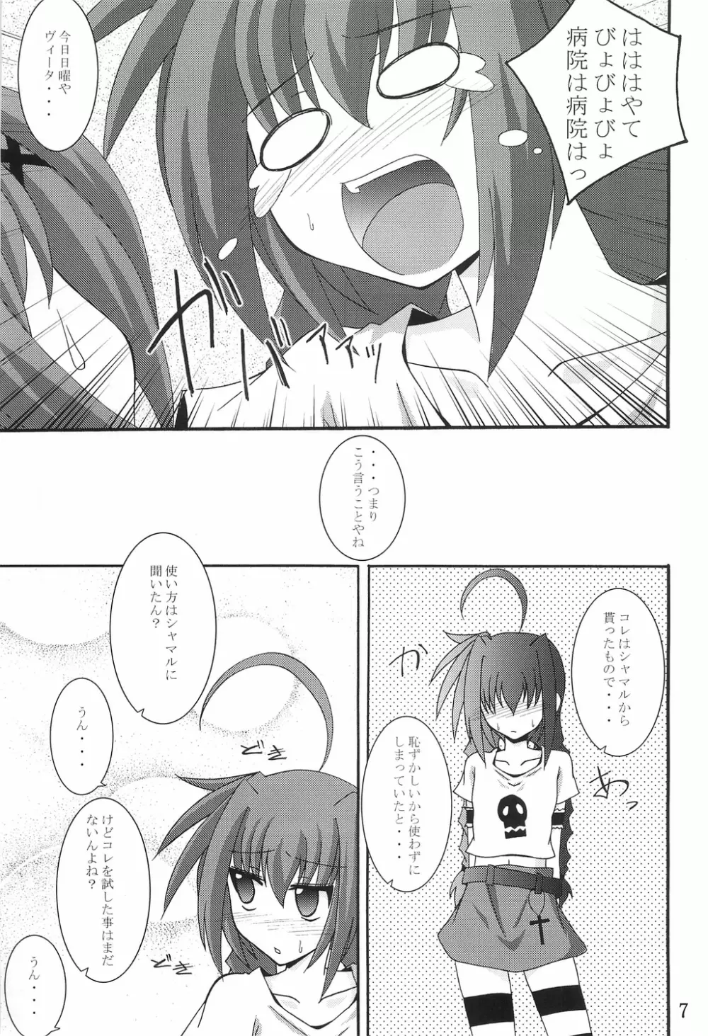 ヴィータの本 Page.6