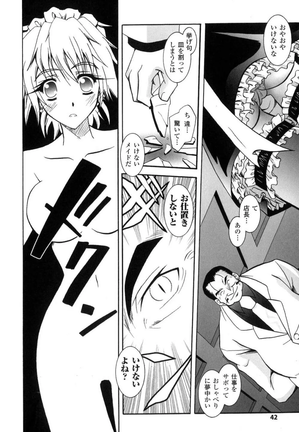魔探偵 藤堂静華の淫妖事件簿 Page.45