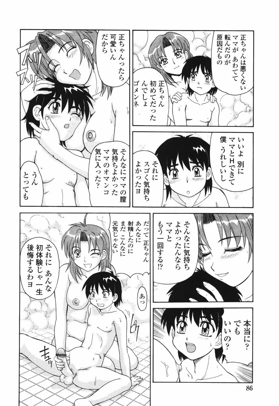 ビーカーの中の情事 Page.87