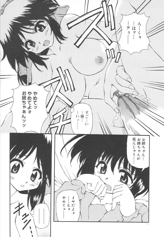 ホントは好きなんだ+ Page.13