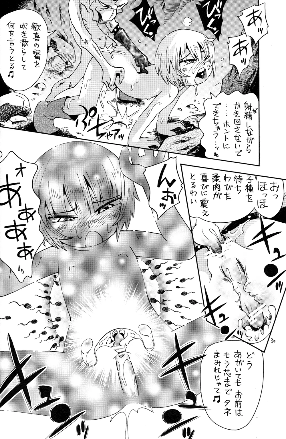 とらわれ姫 IV 完結編 Page.30