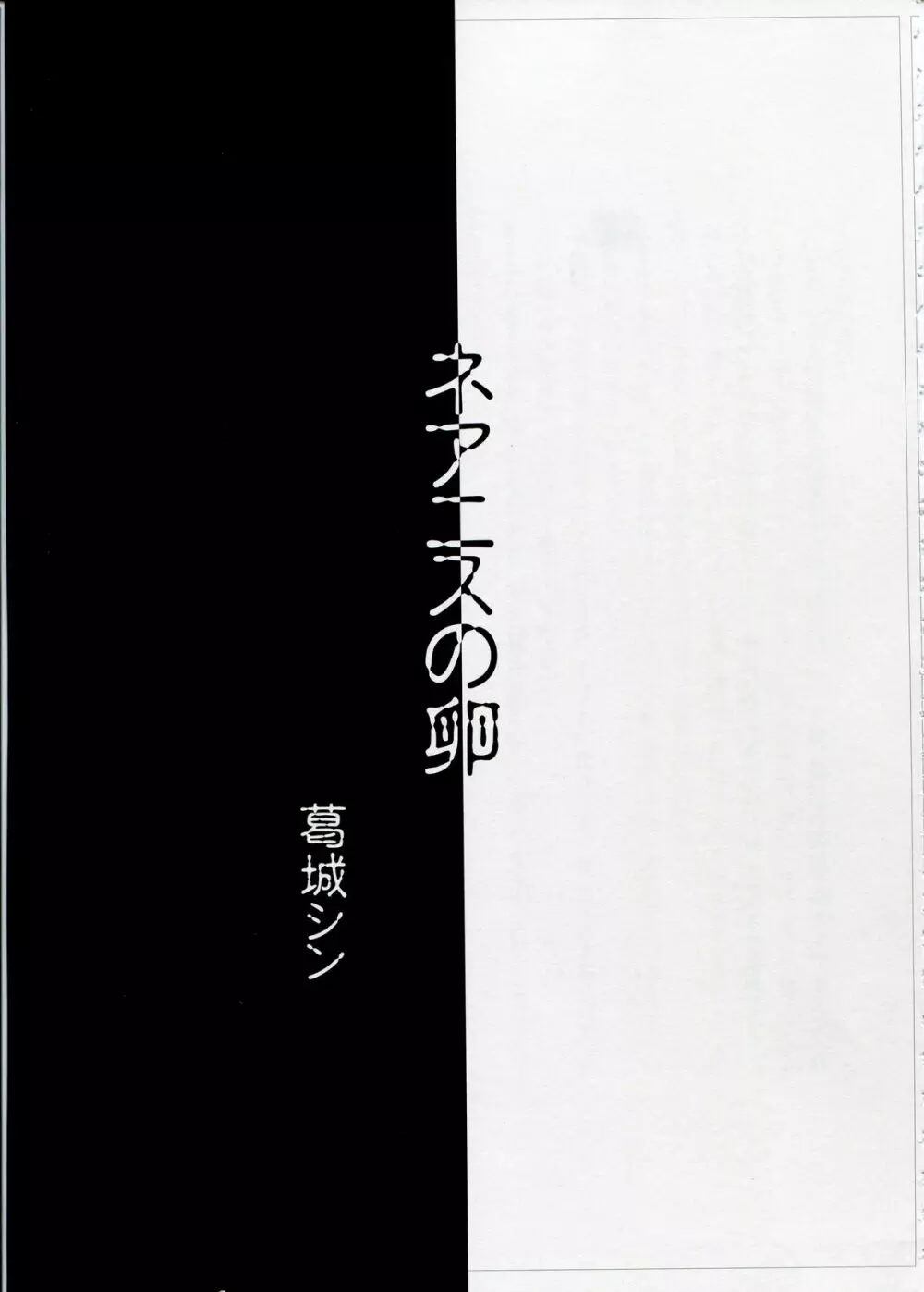 SHEOL KARANOSHOJO Art Work Page.143