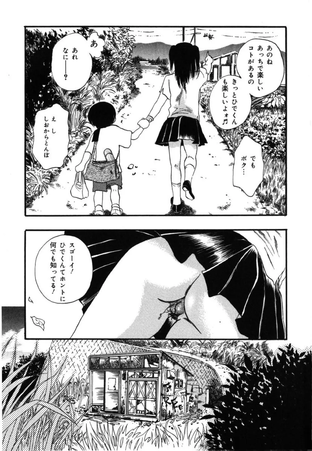 フラワー・コンプレックス Page.159