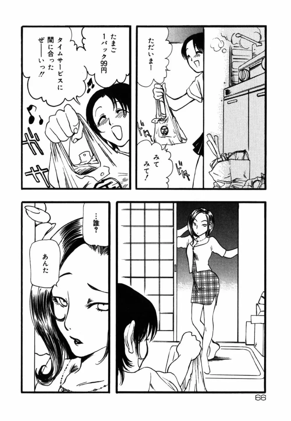 フラワー・コンプレックス Page.66