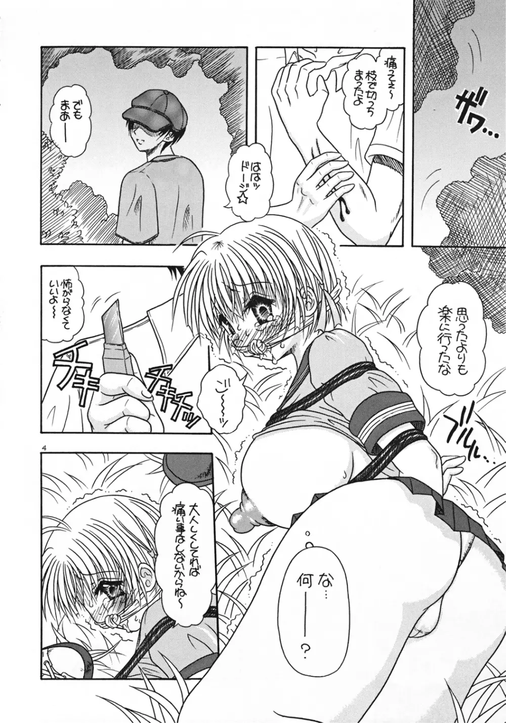 つかもと印刷 特乳パック Page.4