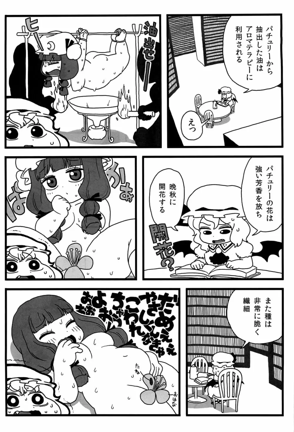 パチュリーがいっぱい Page.10