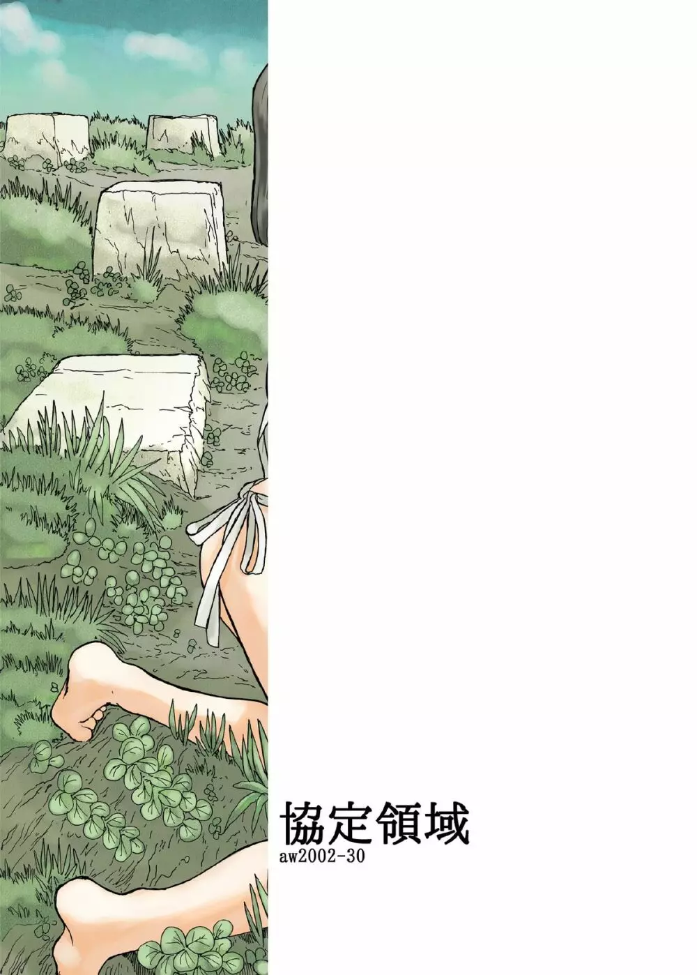 協定領域 Page.30