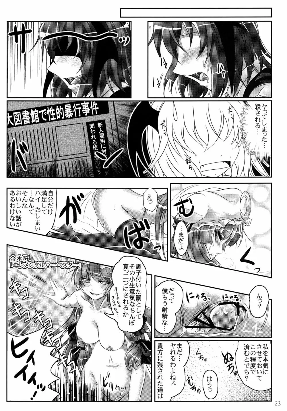 淫らでアブナイ大図書館 Page.23