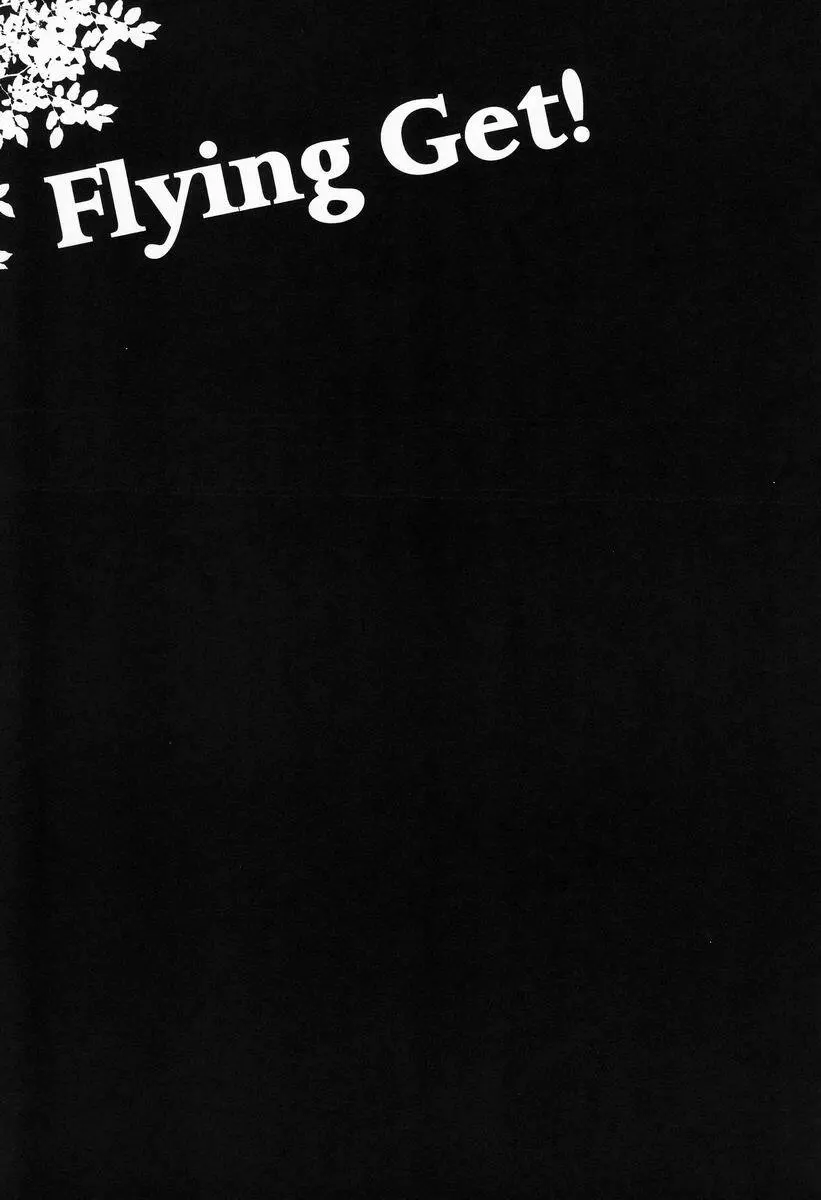 Flying Get! Page.2