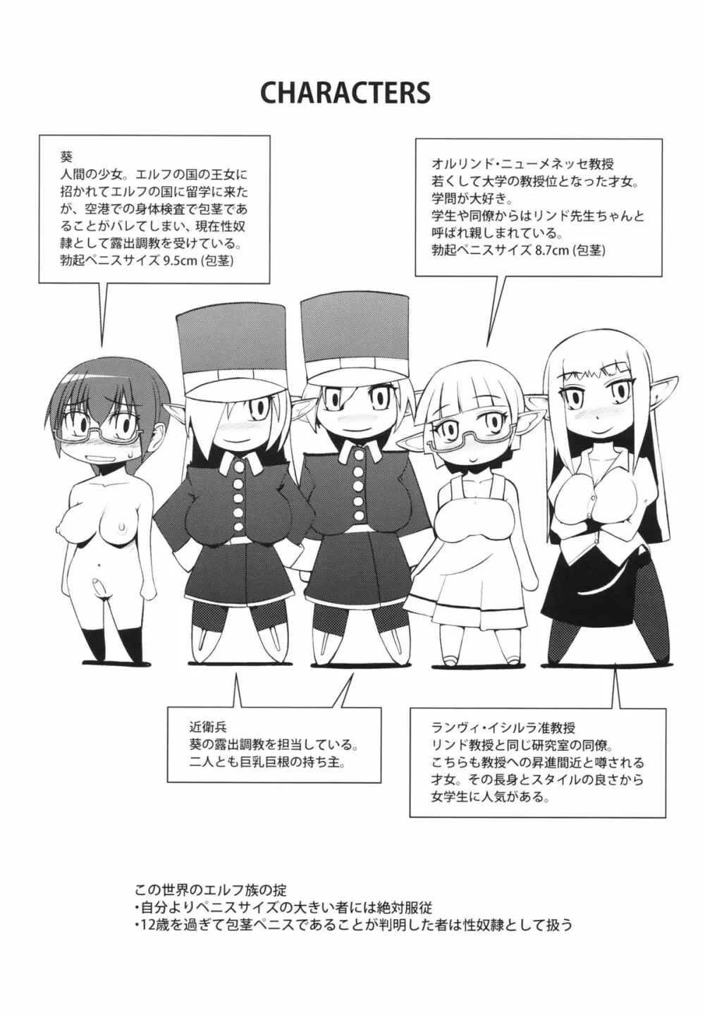 エルフの国の堕ちたい教授 Page.3