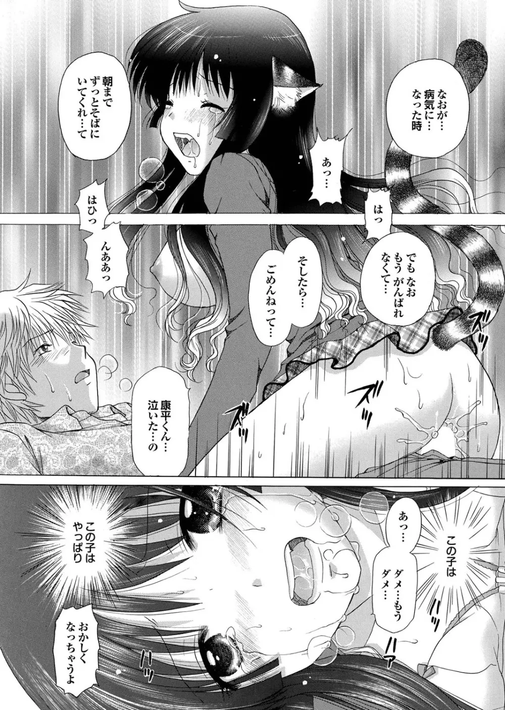 COMIC プルメロ 2010年01月号 Page.26