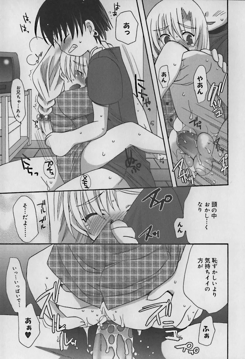 ひな缶10 Page.23