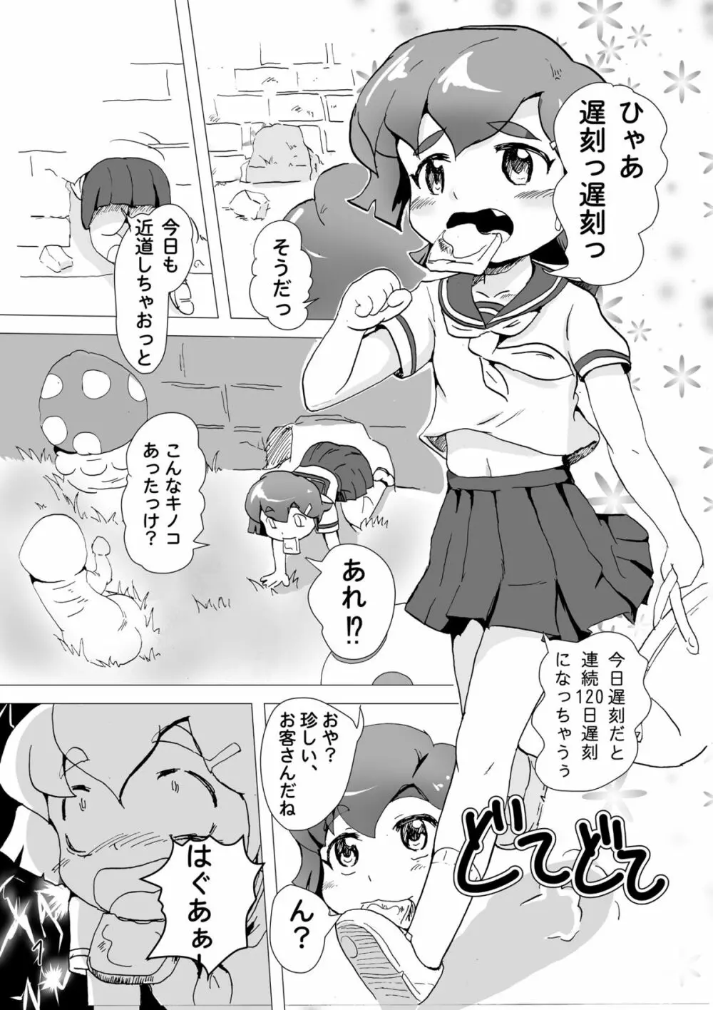 フライングマラー Page.2