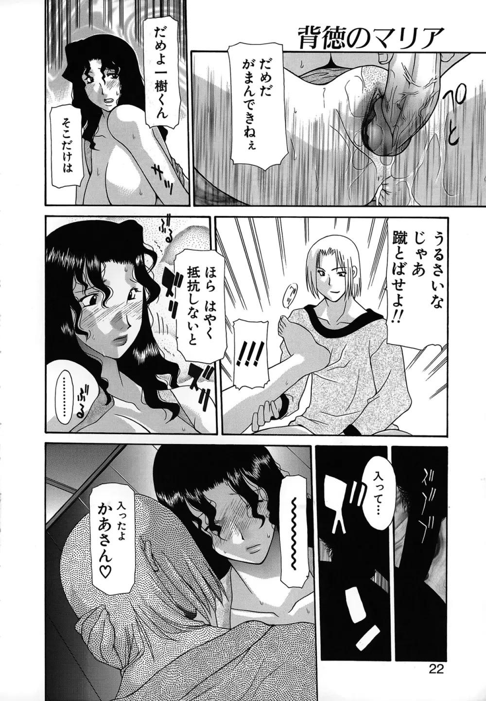 背徳のマリア Page.22