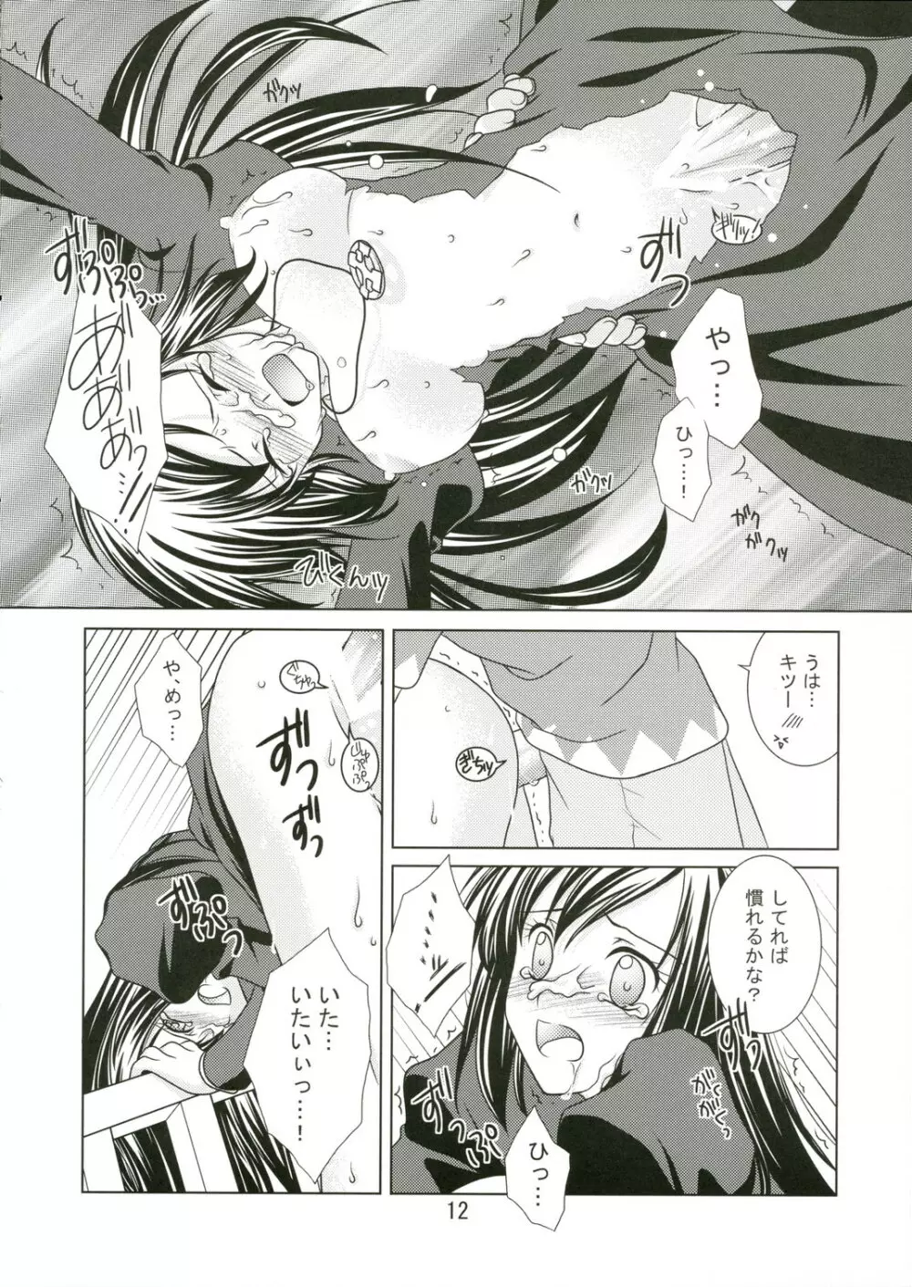 (C69) [VENOM (もりまりも、ZIN) mofu-mofu (マビノギ) Page.11