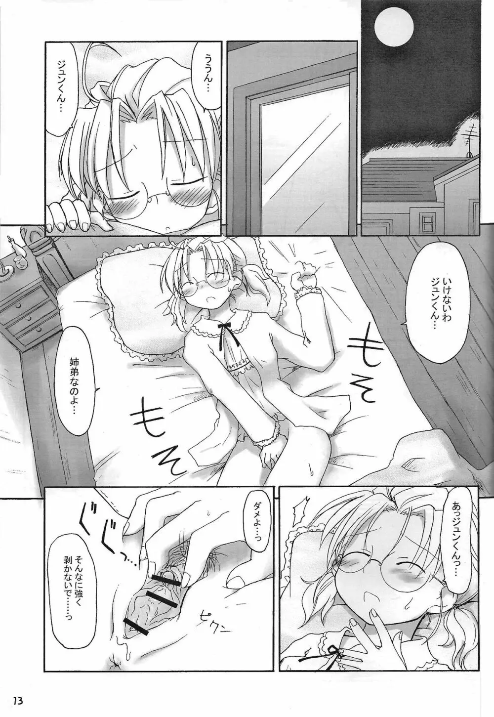 めいでんしろっぷ Page.12