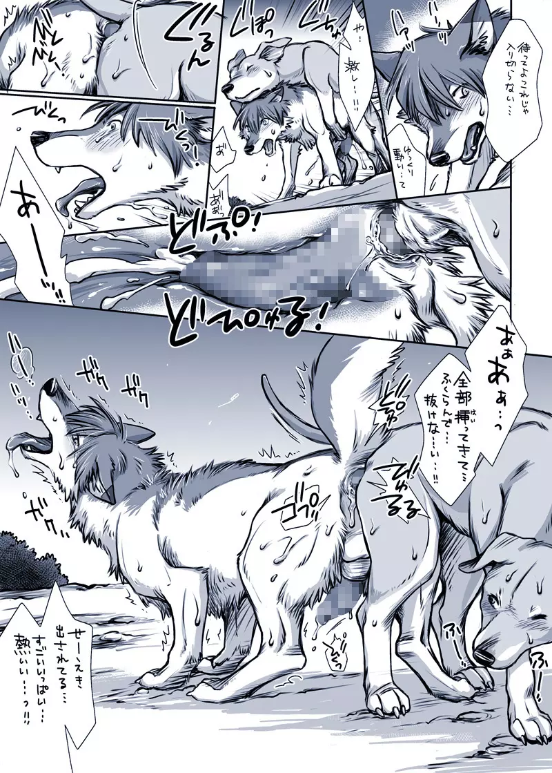 或る犬の場合 Page.7