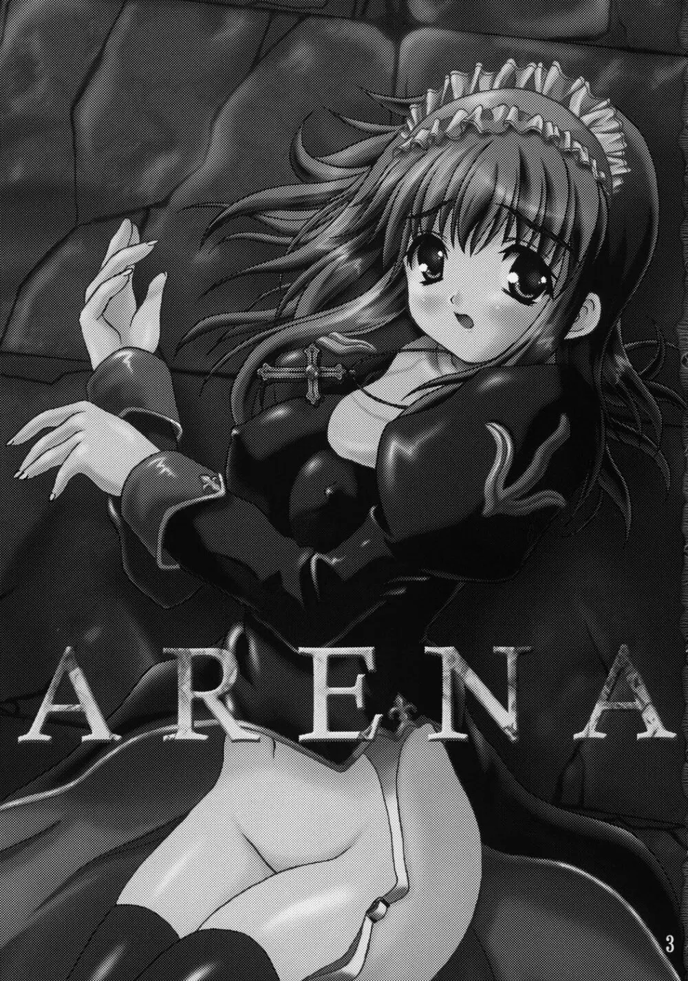 ARENA Page.2