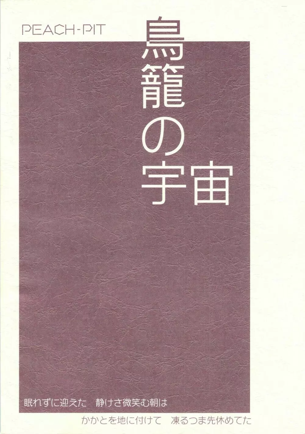 鳥籠の宇宙 Page.70