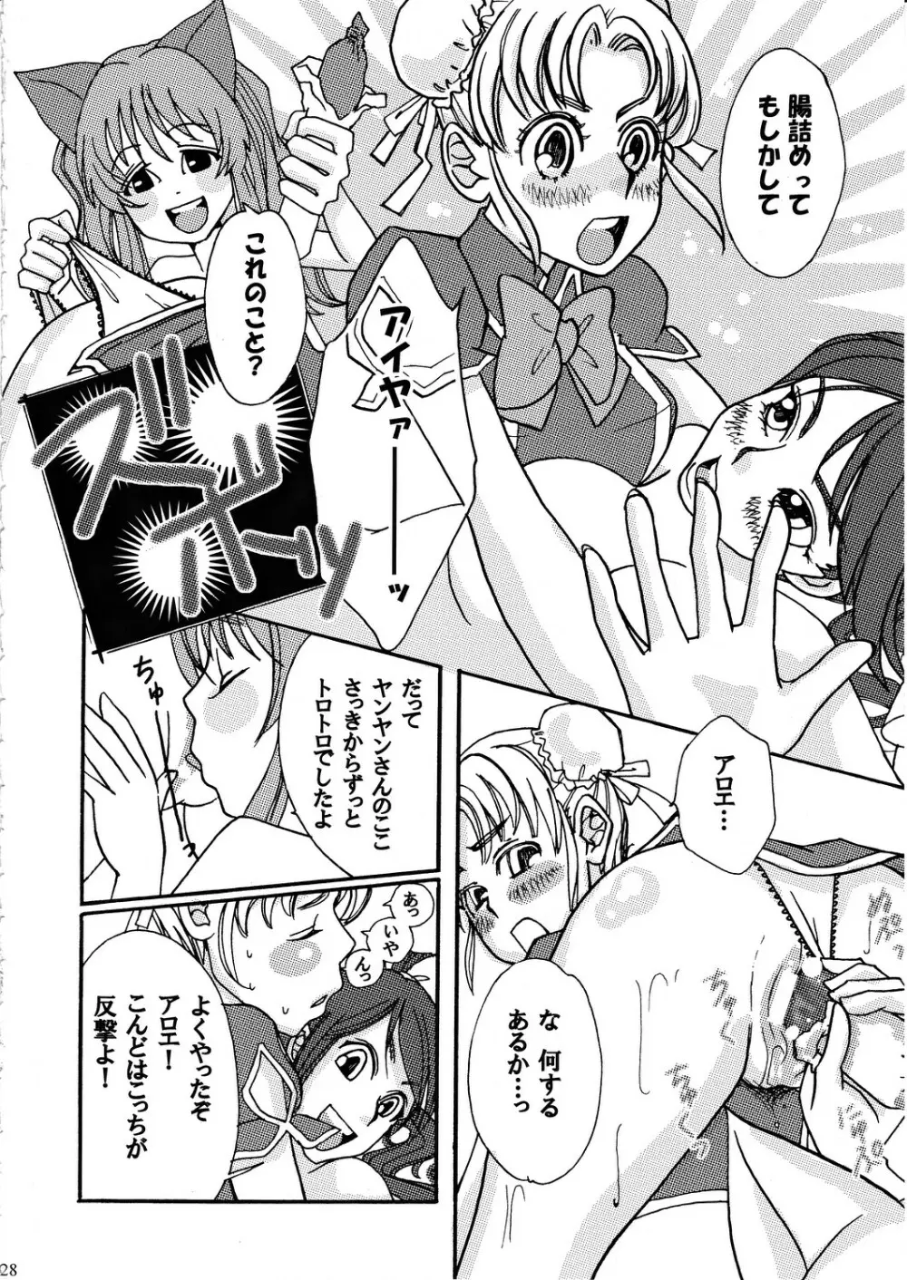 美しきもの見し人は Page.27