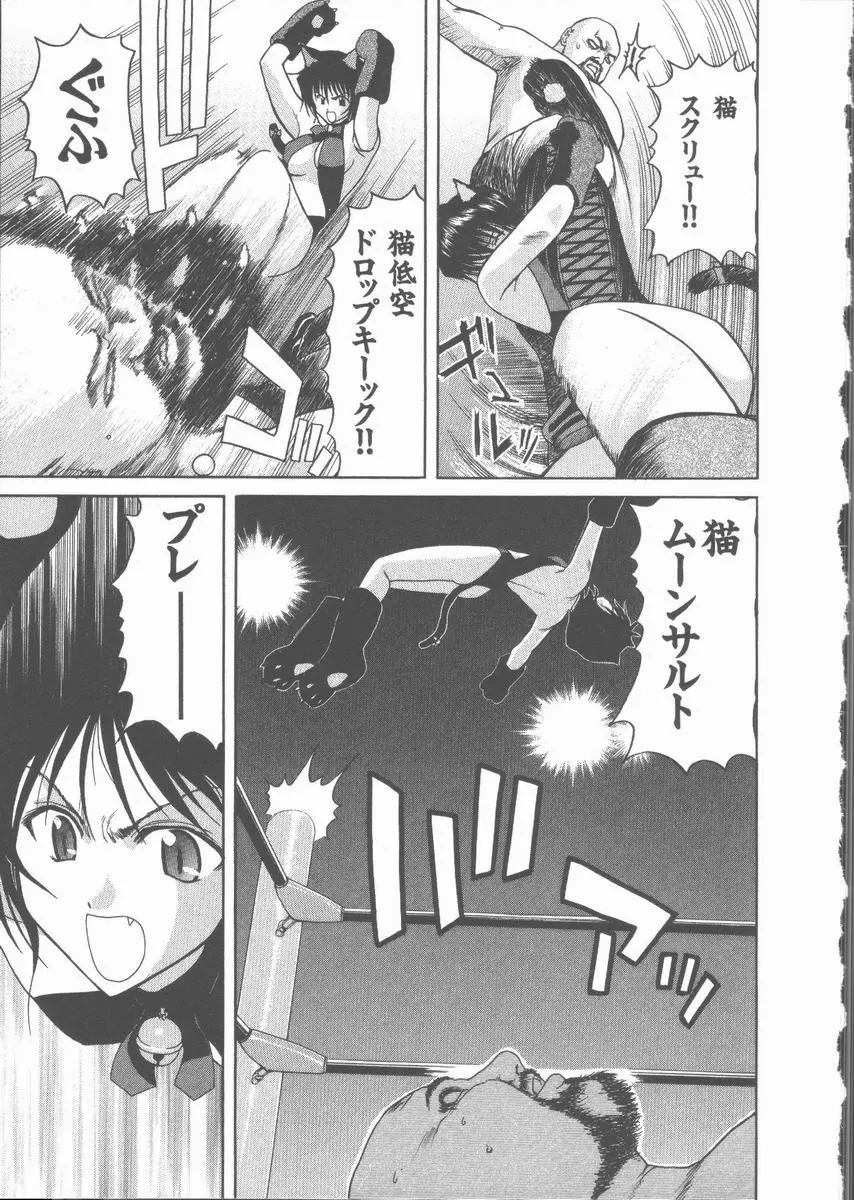 ネコ耳大戦 Page.17