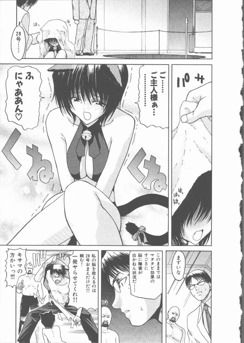 ネコ耳大戦 Page.19