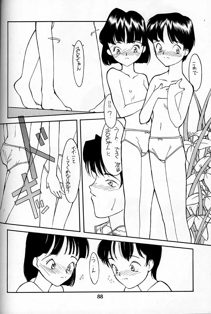 小学性 四 夏茱萸 Page.88