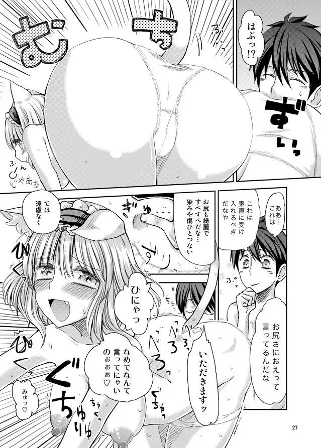 えっちなニャリスの作り方。 Page.26