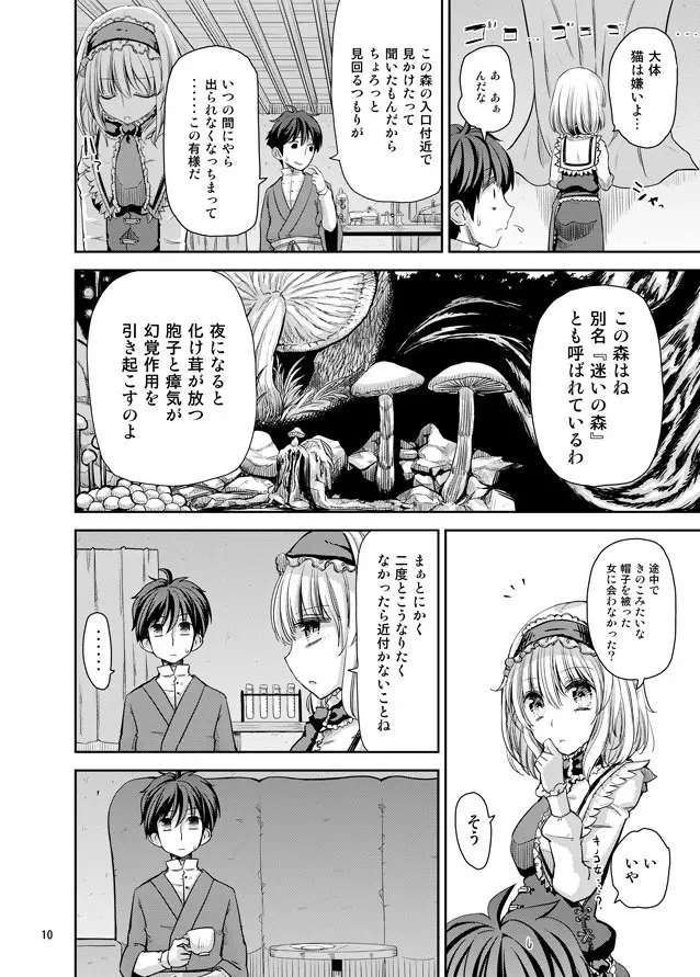 えっちなニャリスの作り方。 Page.9